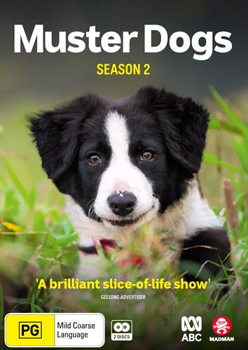 Glen Innes NSW, Muster Dogs, TV, Special Interest, DVD