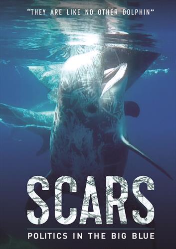 Glen Innes, NSW, Scars , Music, DVD, MGM Music, Apr24, DREAMSCAPE MEDIA, Various Artists, Special Interest / Miscellaneous