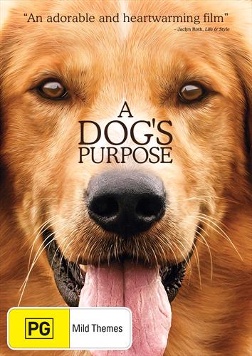 Glen Innes NSW, Dogs Purpose, A, Movie, Children & Family, DVD
