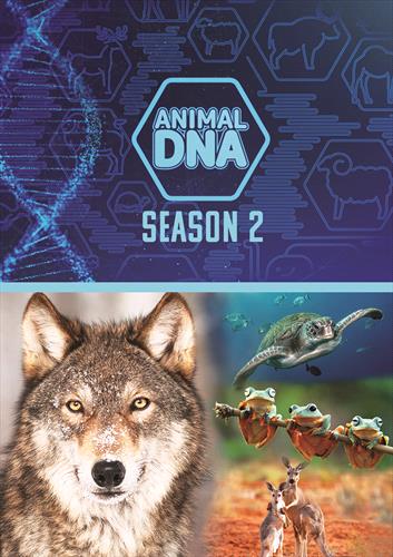 Glen Innes, NSW, Animal Dna: Season Two, Music, DVD, MGM Music, Feb24, DREAMSCAPE MEDIA, Various Artists, Special Interest / Miscellaneous