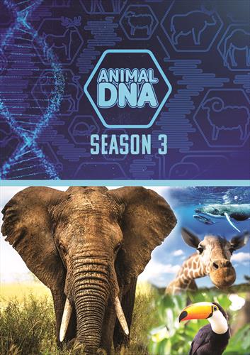 Glen Innes, NSW, Animal Dna: Season Three , Music, DVD, MGM Music, Feb24, DREAMSCAPE MEDIA, Various Artists, Special Interest / Miscellaneous