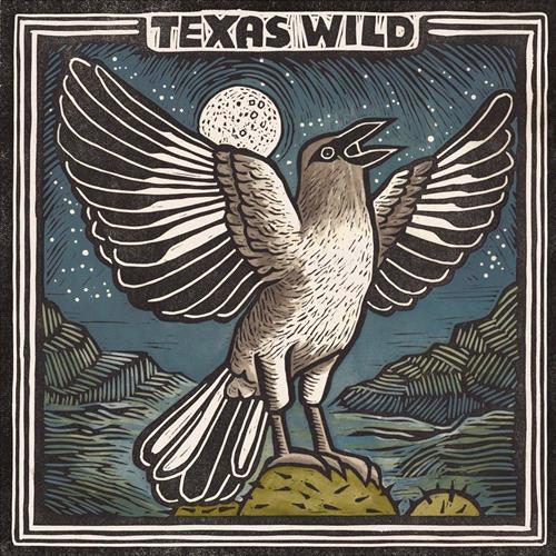 Glen Innes, NSW, Texas Wild, Music, CD, Rocket Group, Jan24, LOWER COLORADO RECORD AUTHORIT, Various Artists, Rock