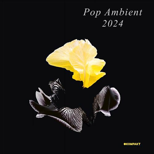 Glen Innes, NSW, Pop Ambient 2024, Music, CD, MGM Music, Dec23, Kompakt Distribution, Various Artists, Rock