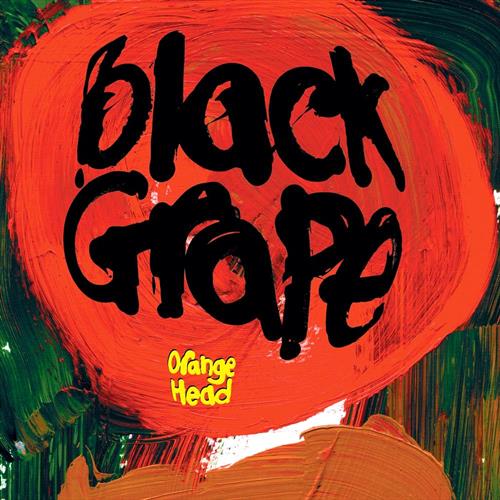 Glen Innes, NSW, Orange Head , Music, Vinyl LP, Rocket Group, Jan24, DGAFF RECORDS, Black Grape, Rock