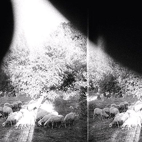 Glen Innes, NSW, Asunder, Sweet And Other Distress, Music, Vinyl LP, Rocket Group, Apr15, CONSTELLATION, Godspeed You! Black Emperor, Alternative