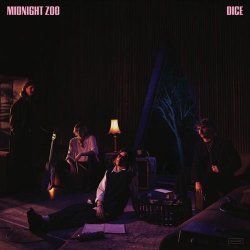 Glen Innes, NSW, Midnight Zoo , Music, Vinyl LP, Universal Music, Aug24, VIRGIN MUSIC SERVICES - DISTRO INTL, Dice, Pop