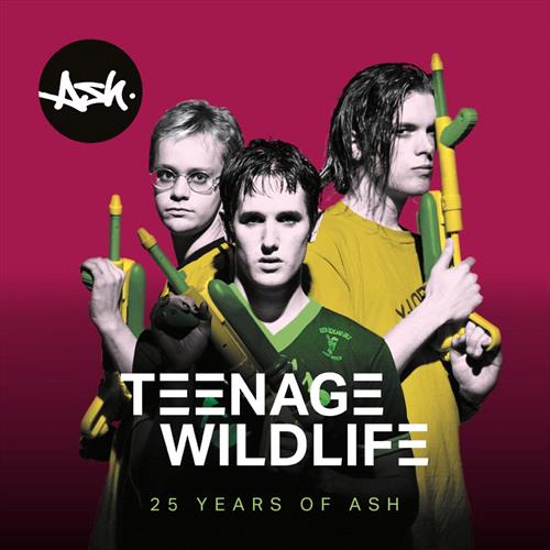 Glen Innes, NSW, Teenage Wildlife - 25 Years Of Ash, Music, CD, Inertia Music, Feb20, BMG, Ash, Alternative