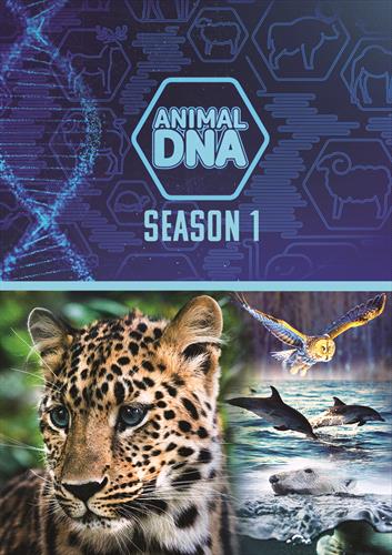 Glen Innes, NSW, Animal DNA: Season One, Music, DVD, MGM Music, Jan24, DREAMSCAPE MEDIA, Various Artists, Rock