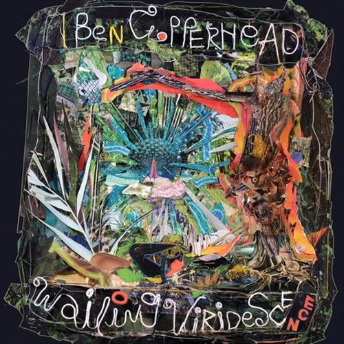 Glen Innes, NSW, Wailing Viridescence , Music, Vinyl LP, Rocket Group, Apr23, Shimmy Disc, Ben Copperhead, Alternative