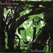 Glen Innes, NSW, Birdbrain, Music, Vinyl LP, Inertia Music, Oct20, Matador, Buffalo Tom, Alternative