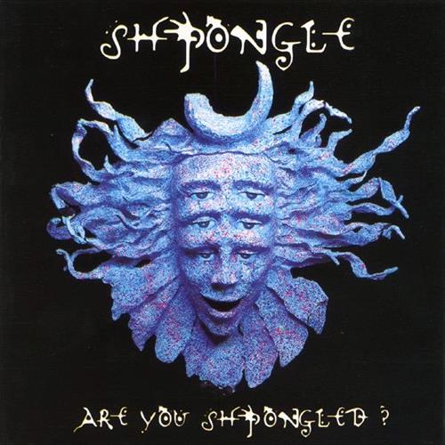 Glen Innes, NSW, Are You Shpongled? , Music, Vinyl LP, MGM Music, Feb23, Twisted, Shpongle, Dance & Electronic