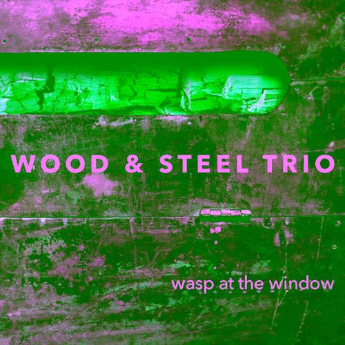 Glen Innes, NSW, Wasp At The Window, Music, CD, Rocket Group, Feb23, Unit Records, Wood & Steel Trio, Jazz