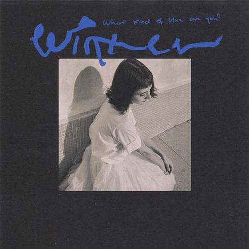 Glen Innes, NSW, What Kind Of Blue Are You?, Music, Vinyl LP, Rocket Group, Jan23, Bar/None Records, Winter, Dance & Electronic