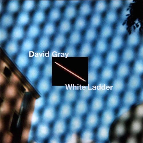 Glen Innes, NSW, White Ladder, Music, Vinyl, Inertia Music, Feb20, IHT RECORDS, David Gray, Pop