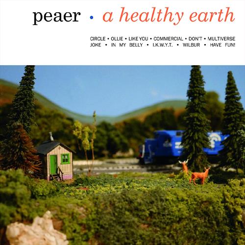 Glen Innes, NSW, A Healthy Earth, Music, Vinyl 12", MGM Music, Aug19, Redeye/Tiny Engines, Peaer, Alternative