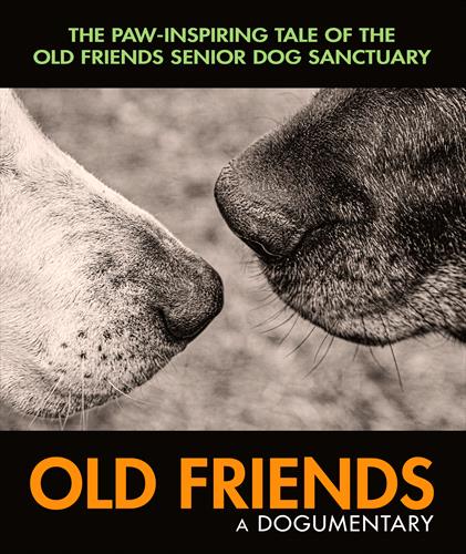 Glen Innes, NSW, Old Friends: A Dogumentary, Music, BR + DVD, MGM Music, Dec22, What Were We Thinkin, Various Artists, Special Interest / Miscellaneous