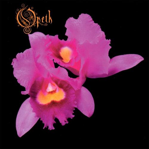 Glen Innes, NSW, Orchid , Music, Vinyl, Inertia Music, Jun23, SPINEFARM, Opeth, Rock