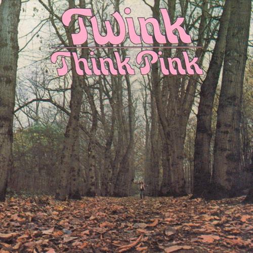 Glen Innes, NSW, Think Pink 5, Music, CD, MGM Music, Jun23, Explore Rights, Twink, Rock