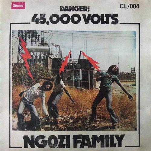 Glen Innes, NSW, 45,000 Volts, Music, Vinyl LP, Rocket Group, Jan21, NOW-AGAIN RECORDS, Ngozi Family, World Music