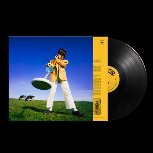 Glen Innes, NSW, What Happened To The Beach? , Music, Vinyl LP, Sony Music, Feb24, , Declan McKenna, Alternative