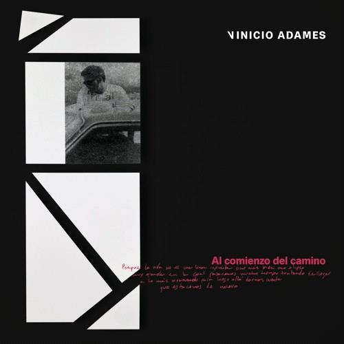 Glen Innes, NSW, Al Comienzo Del Camino, Music, Vinyl LP, Rocket Group, May21, TRUECLASS RECORDS, Vinicio Adames, Dance & Electronic