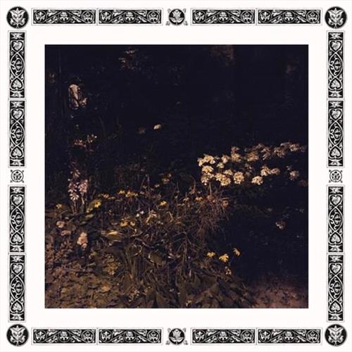 Glen Innes, NSW, Pale Bloom, Music, Vinyl LP, Rocket Group, May19, , Davachi, Sarah, Special Interest / Miscellaneous