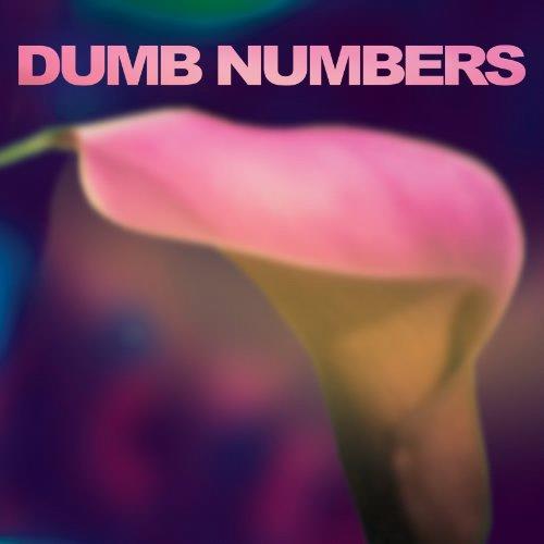 Glen Innes, NSW, Dumb Numbers, Music, Vinyl LP, Rocket Group, Mar23, Joyful Noise Recordings, Dumb Numbers, Alternative