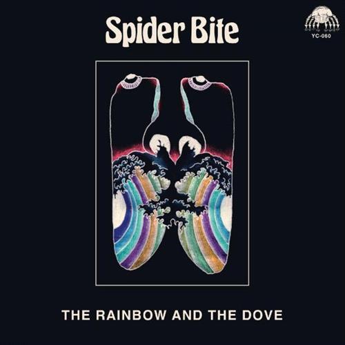 Glen Innes, NSW, The Rainbow And The Dove, Music, Vinyl LP, MGM Music, Jun23, You've Changed Records, Spider Bite, Punk